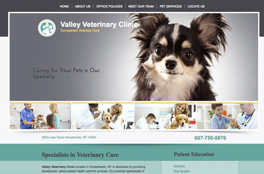 Valley Veterinary Clinic Veterinary Website Example