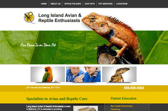 Long Island Avian and Reptile Enthusiasts Veterinary Website Example