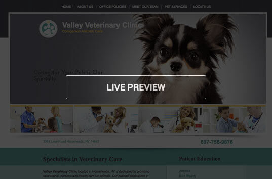 Valley Veterinary Clinic Veterinary Website Example Hover