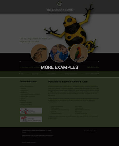 Chiropractic Website Preview #1 Hover